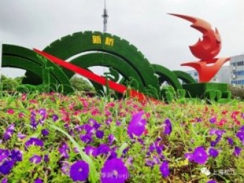 上海松江这里的花坛、花境“上新”啦!特色景观升级!